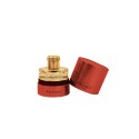 Pantheon Roma Dolce Passione Eau de Parfum 50 ml