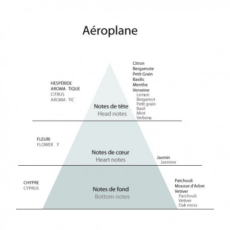 Aeroplane Eau de Toilette 100 ml