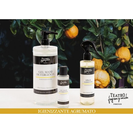 Citrus Sanitizer Home Fragrance Gel 1000 ml