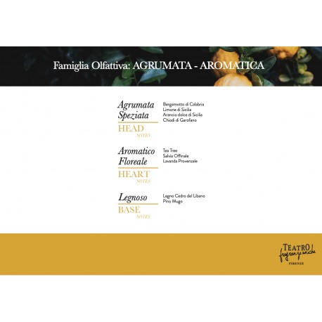 Citrus Sanitizer Home Fragrance Spray 250 ml