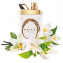 Accendis Nooria 100 ml