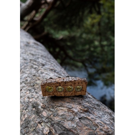 SCOPOLI, Discovery Set