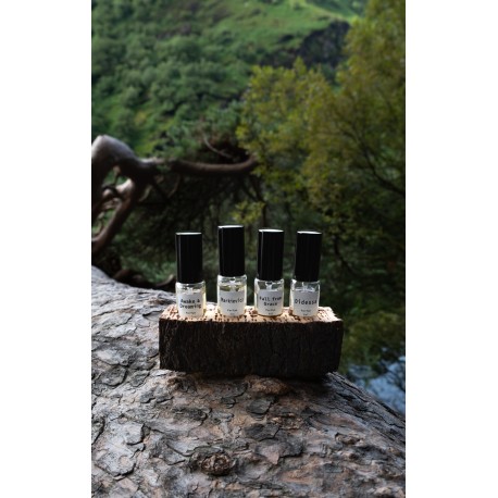 SCOPOLI, Discovery Set