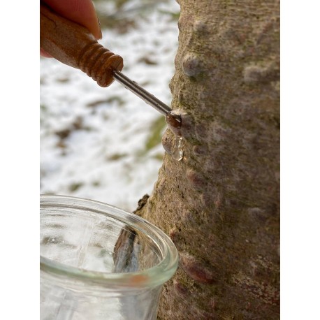 SCOPOLI,  Awake & Dreaming,  Parfum, 50 ml