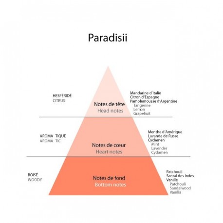 Detaille 1905,  Paradisii, Eau de Cologne 100ml