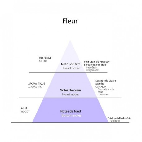 Detaille 1905,  Fleur, Eau de Cologne 100ml