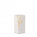JOYFUL, 100 ml diffuser with Sticks, Teatro Fragranze Uniche