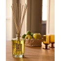 Teatro Fragranze Uniche,    CITRUS (Borgo degli Agrumi),   With Sticks Diffuser 100 ml