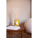 Teatro Fragranze Uniche,    CITRUS (Borgo degli Agrumi),   With Sticks Diffuser 250 ml