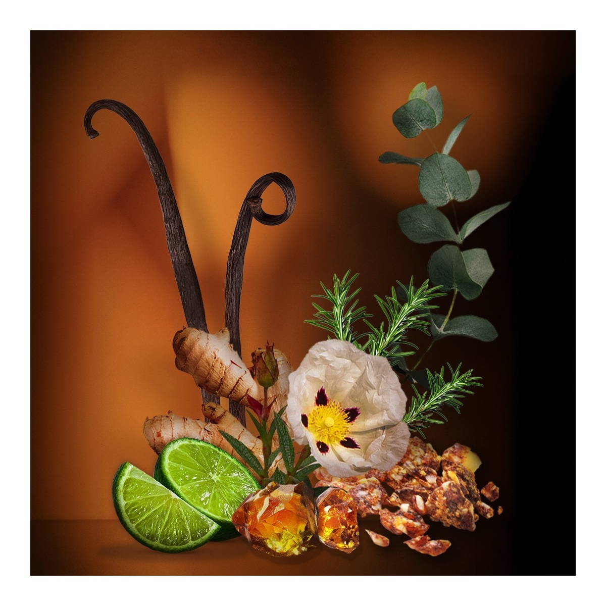 Czech & Speake, Perfecto Fino Incense Sticks x20