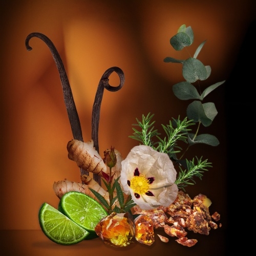 Czech & Speake,  Amber 7,  Eau de Parfum 100ml