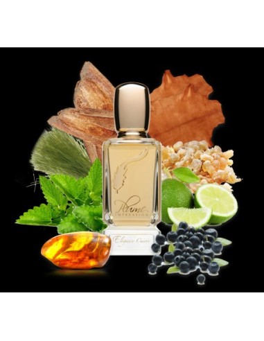 Plume Impression,  Elégance Cuirée,  Eau de Parfum,  80 ml