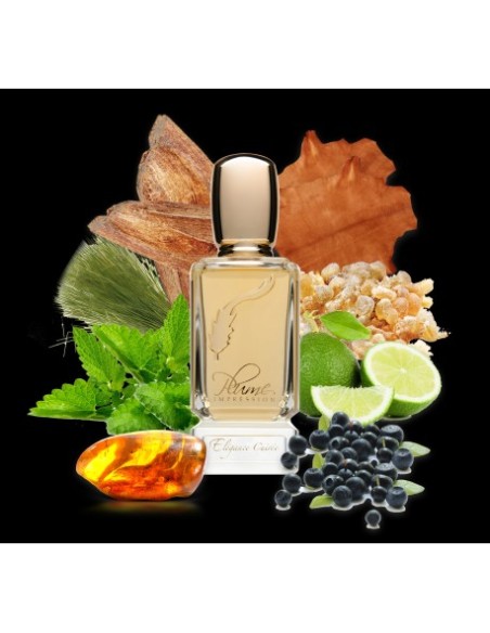 Plume Impression,  Elégance Cuirée,  Eau de Parfum,  80 ml