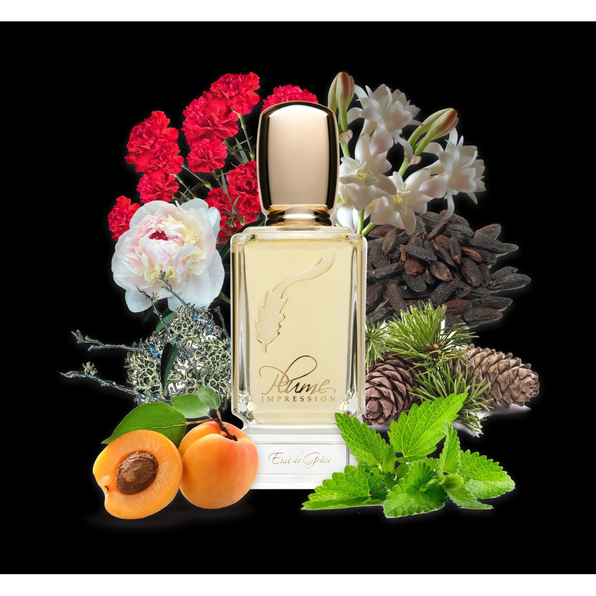 Plume Impression,  Etat de Grâce,  Eau de Parfum,  80 ml