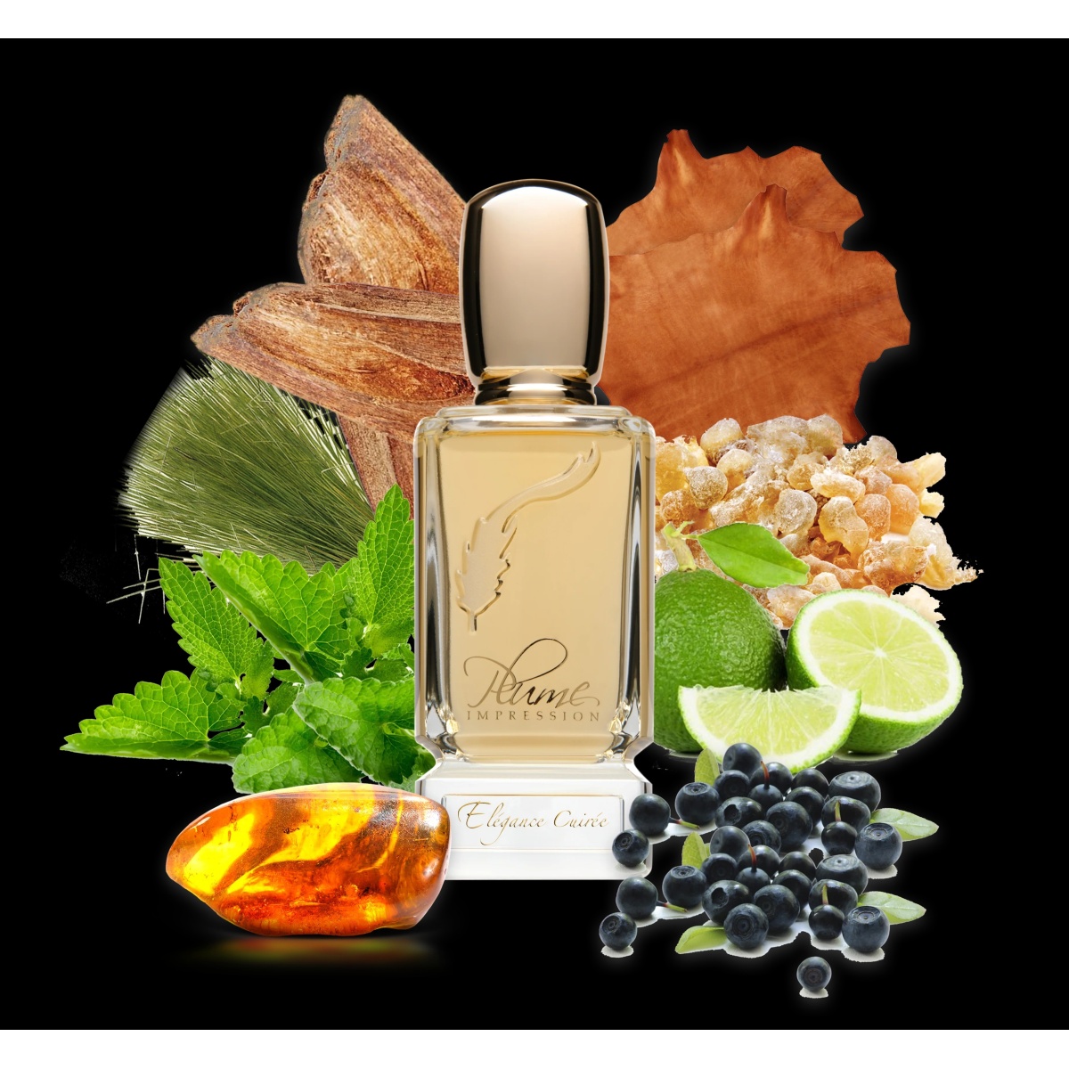 Plume Impression,  Elégance Cuirée,  Eau de Parfum,  80 ml