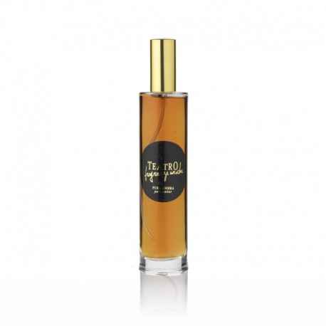 PURE AMBER (Pura Ambra), 100 ml Spray, Teatro Fragranze Uniche